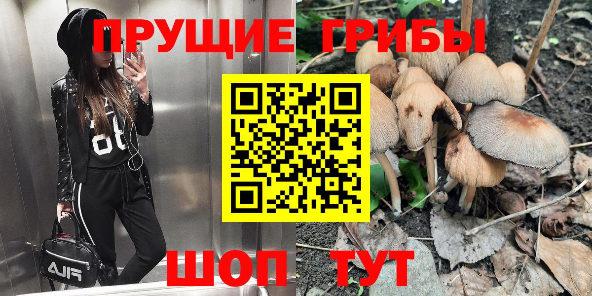 Галлюциногенные грибы GOLDEN TEACHER Воскресенск