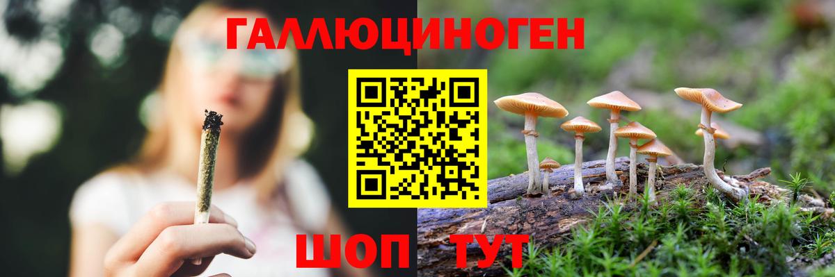 наркота  Вход с VPN  Воскресенск  Псилоцибиновые грибы Psilocybe 